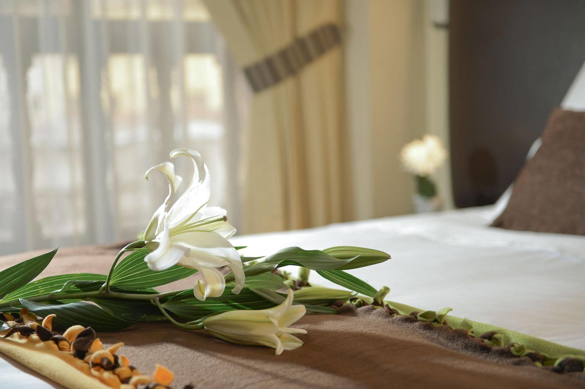 Tecte Guest House Cuzco Esterno foto